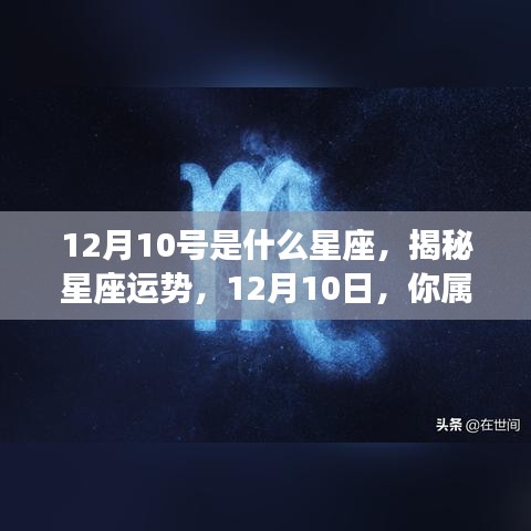 运势 第119页