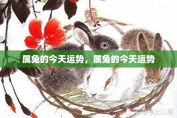 勤勤恳恳 第3页