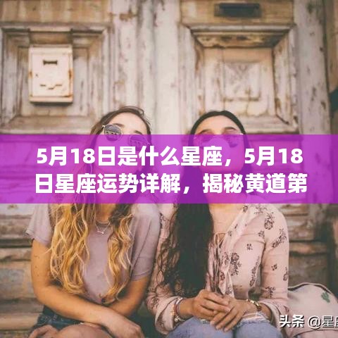 鸟声兽心 第4页