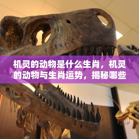 运势 第116页