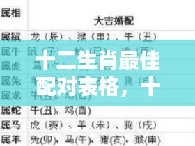 十二生肖最佳配对表格揭秘，深度解析生肖情缘