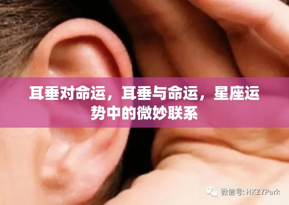运势 第110页