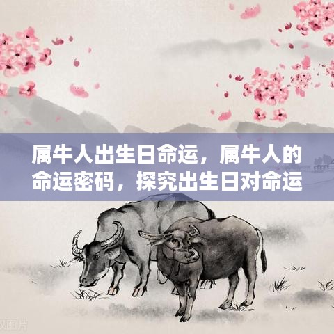 飞燕化龙 第3页
