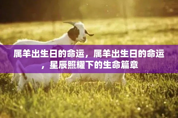运势 第107页