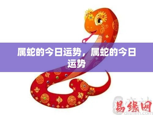 衣无二彩 第3页