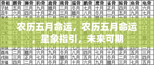农历五月命运，农历五月命运，星象指引，未来可期