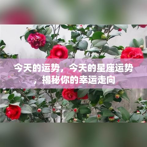 断织劝学 第3页