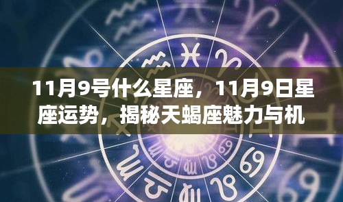 飞龙在天 第3页