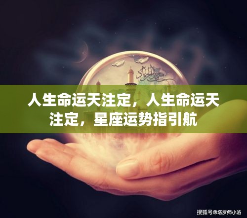 尖嘴猴腮 第2页