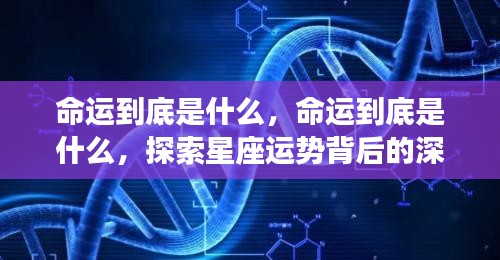 算命 第107页
