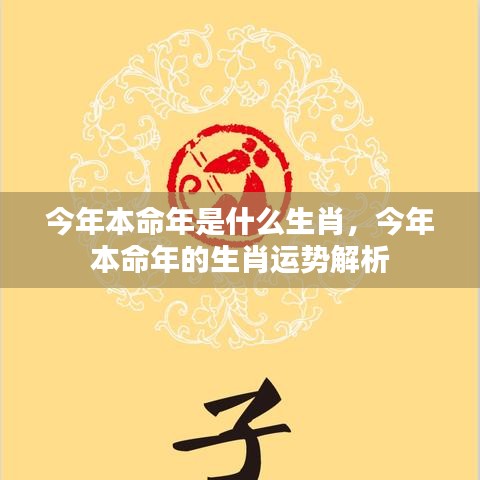 今年本命年生肖运势解析及生肖运势展望