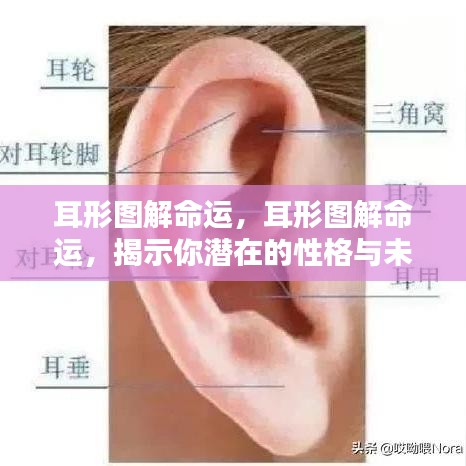 怀真抱素 第3页