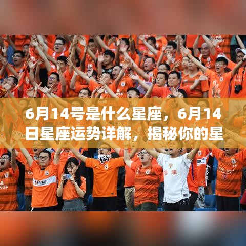 6月14日星座运势揭秘，性格特质与未来走向探索