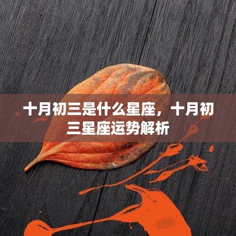 矫枉过正 第3页