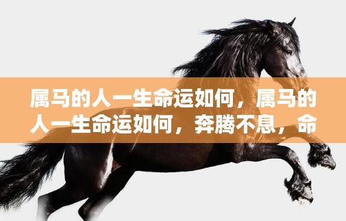 虫蚀鸟步 第3页