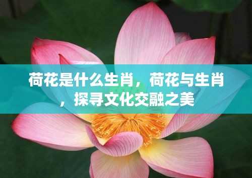 百年不遇 第3页