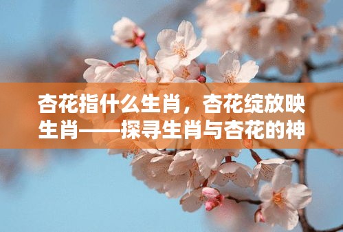杏花与生肖的神秘联系，探寻生肖中的杏花绽放之美