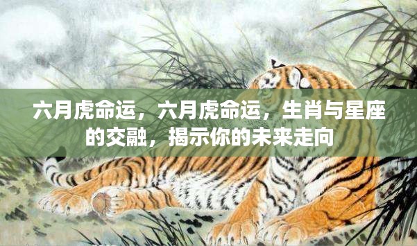 高人雅士 第3页