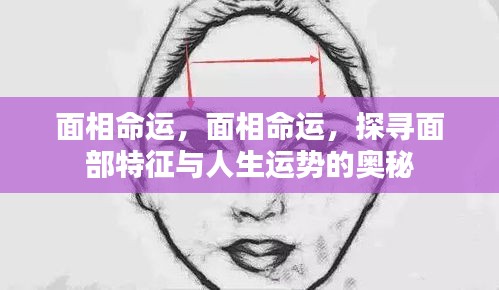 改弦易张 第3页