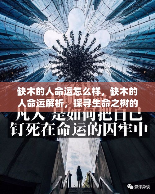 张冠李戴 第2页