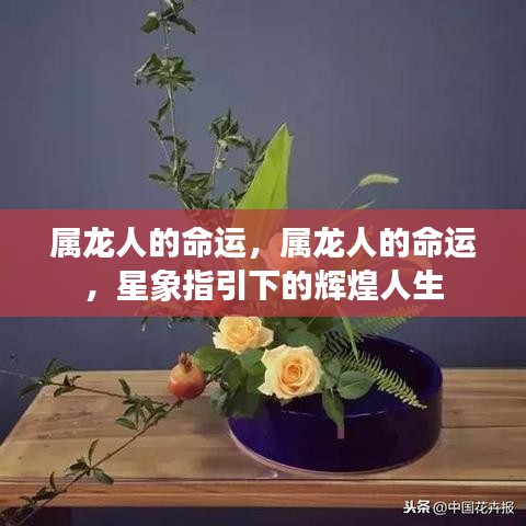 回眸最初 第3页