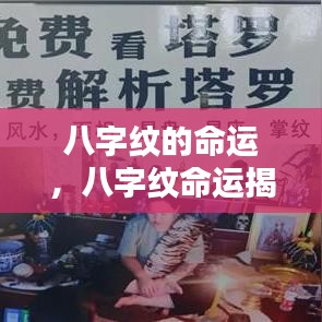 八字纹命运解析，掌纹揭示未来走向