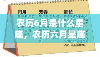 乌鸟之情 第3页