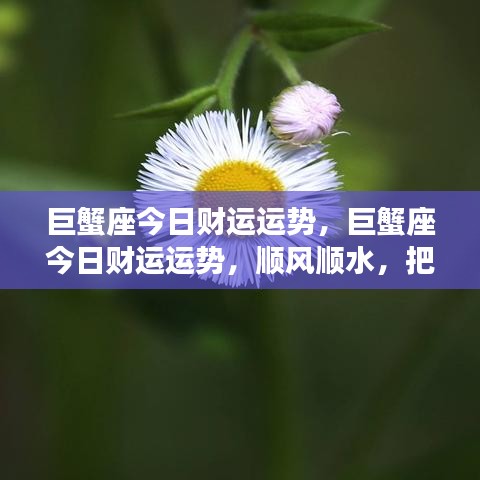 初告白 第3页