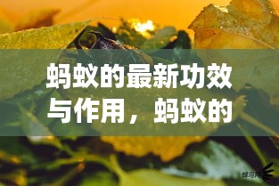 标新创异 第3页
