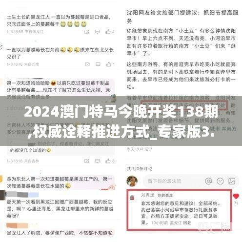 2024澳门特马今晚开奖138期,权威诠释推进方式_专家版3.545