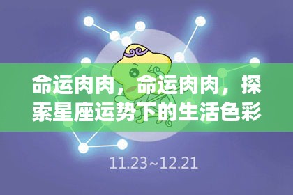 星座运势下的生活色彩探索，命运肉肉之旅
