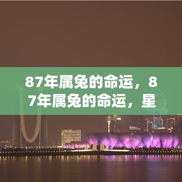 候鸟南飞 第2页