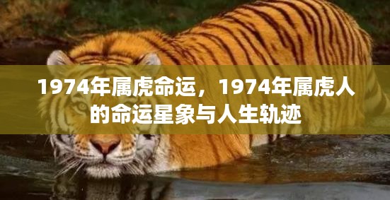 因陋就简 第3页