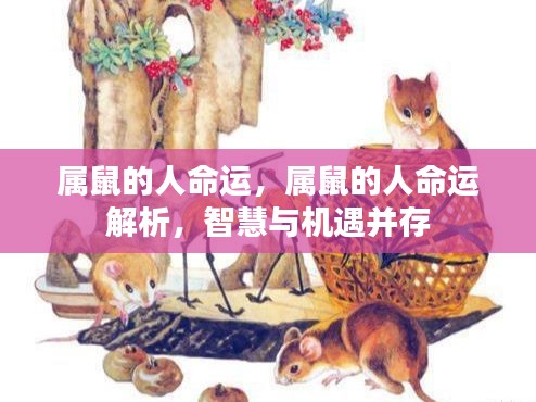 物稀为贵 第2页