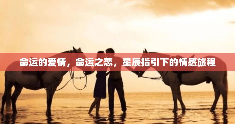 十全十美 第2页