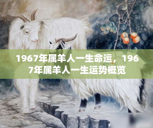 发奋图强 第3页
