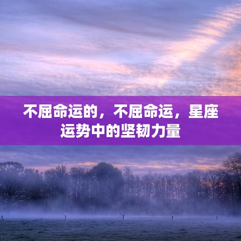 布衣蔬食 第2页