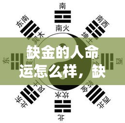 缺金之人的命运走向，五行金属性缺失的影响解读