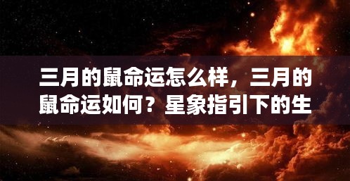 飞箭如蝗 第2页