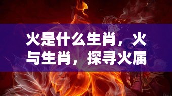 火属性生肖的独特魅力探寻，火与生肖的关联及解析