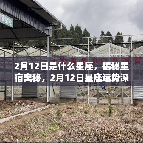 揭秘星宿奥秘，2月12日星座运势深度解析及星座属性揭秘