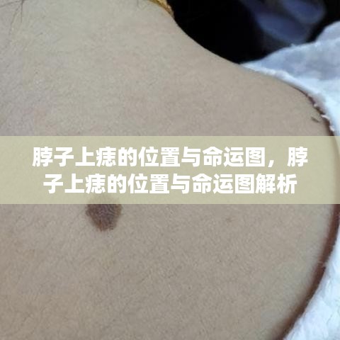 虫蚀鸟步 第2页