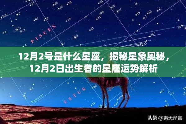 风流倜傥 第2页