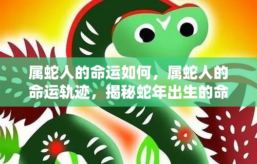 怀真抱素 第2页