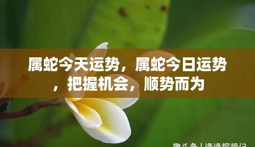 见仁见智 第2页