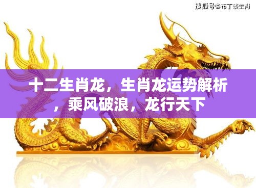 生肖龙运势解析，乘风破浪，龙行天下运势展望