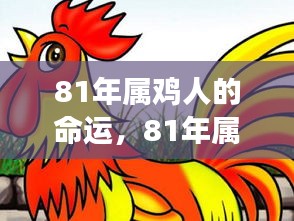 81年属鸡人的命运展望与个性深度解析