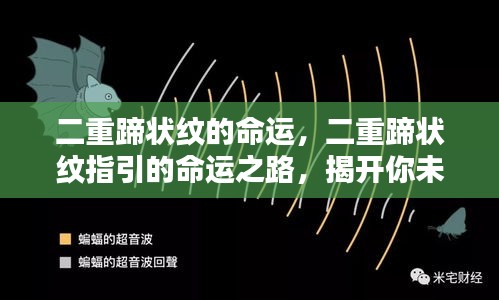 鸟吏鼈官 第2页