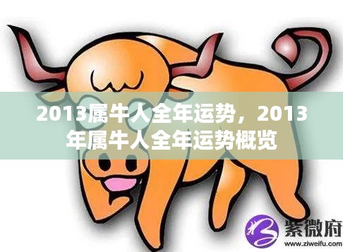 目不转睛 第2页