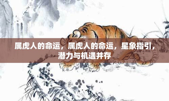 云屯鸟散 第2页